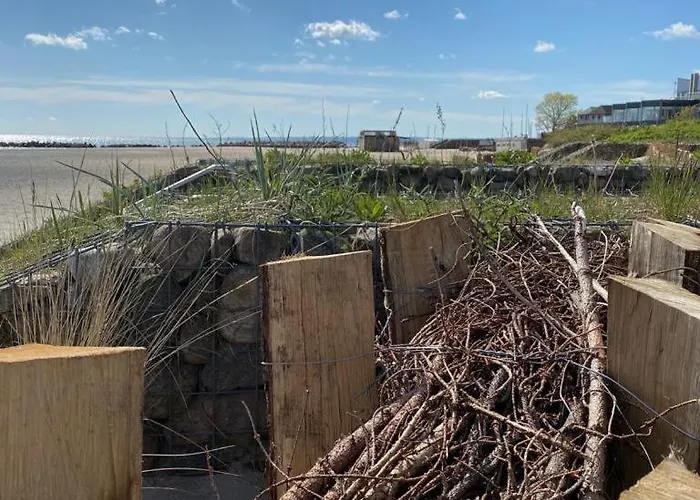 Ostseebrise Дамп